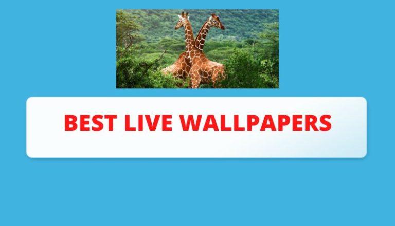 The Best Live Wallpaper App for Windows | 2023-2024